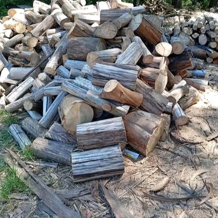 Todo  o tipo  de lenha