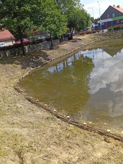 Faszynowanie zabespieczanie brzegów stawów jezior kopanie stawów