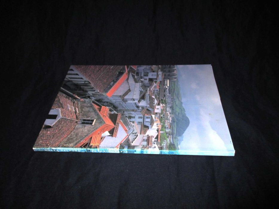 Livro Ponta Delgada Fotobiografia Açores Álvaro Saraiva Teixeira Dias