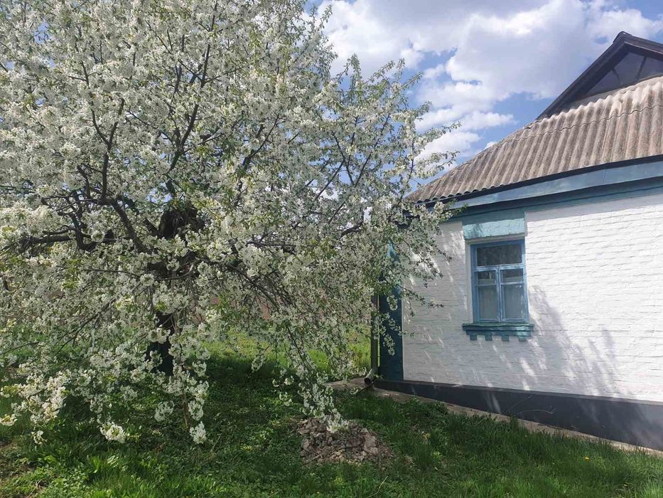 Будинок  70 кв.м, смт Буки, біля Буцького каньону, земля 48 соток, Черкаська обл., Уманський р,н