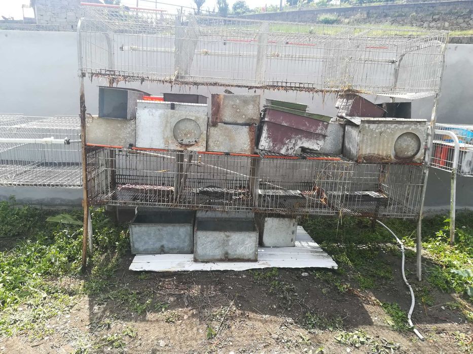 Coelheiras usadas como novas