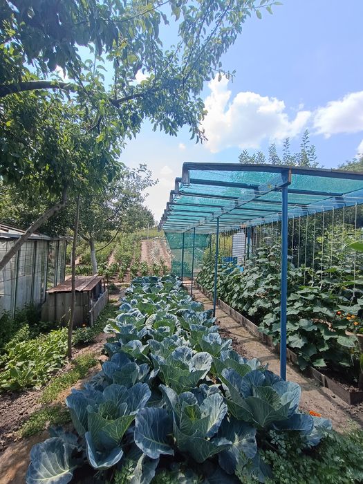 Продаж дачі в селі Сидори