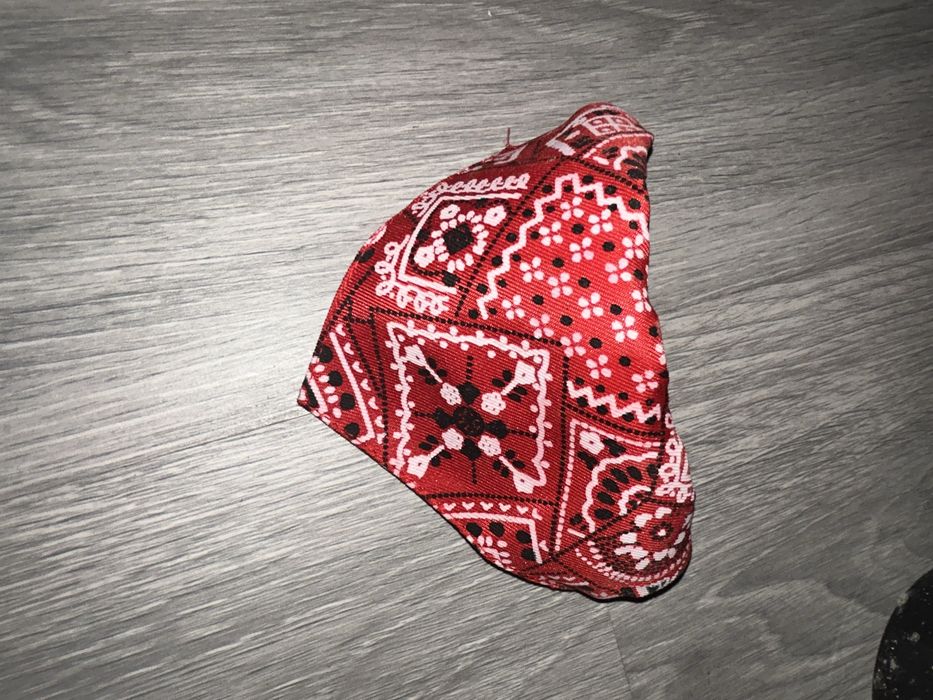 Kit Completo de Acessórios para Gato – Ótimo Estado