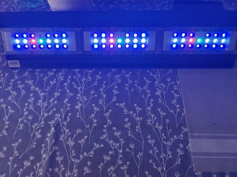 Iluminação led Aquário