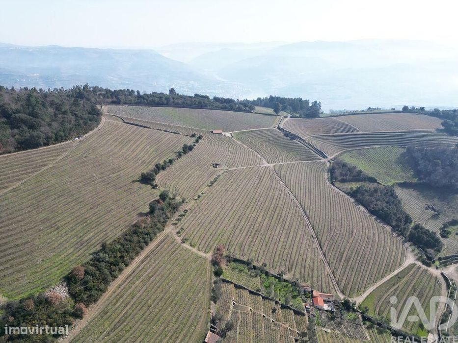 Quinta em Mesão Frio (Santo André) de 300,00 m2