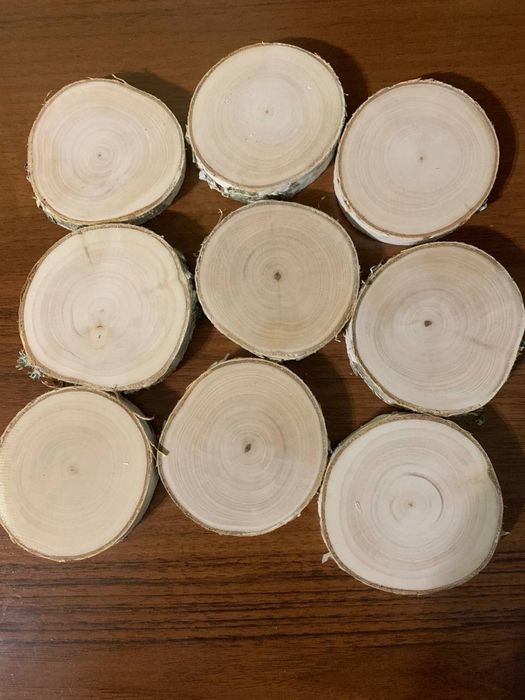 Спил дерева береза, зріз.