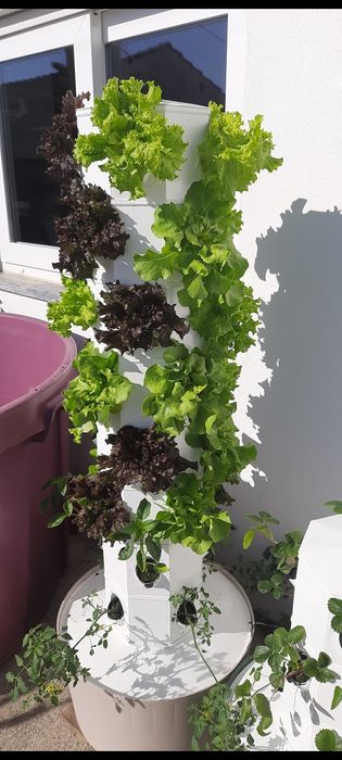 Vendo sistemas de aeroponia