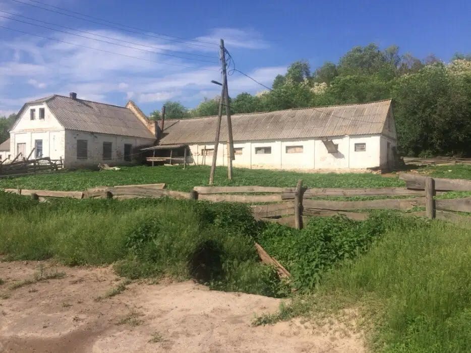 Продам ферму з 2 сараями