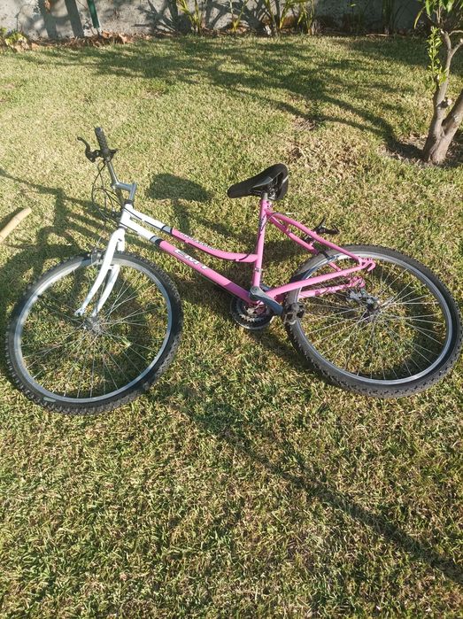 Bicicletas conjunto