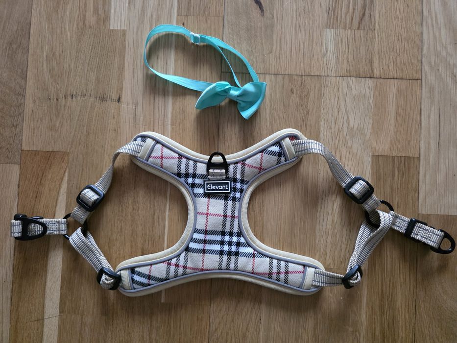 Szelki dla psa Elevant  ,,S,, ( kokardka GRATIS)