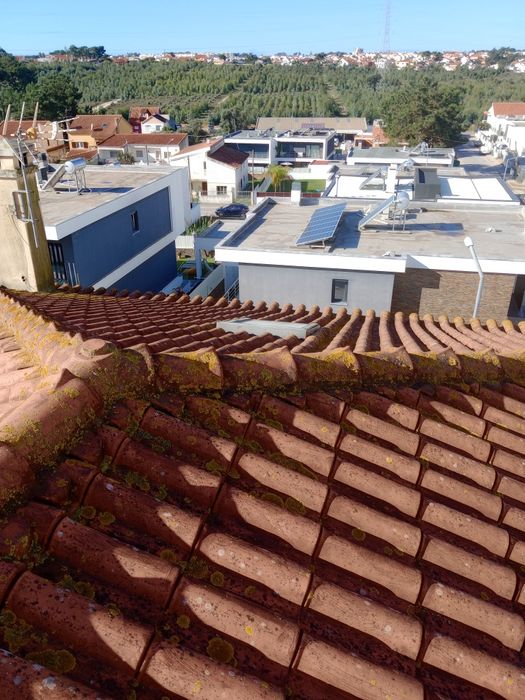 Pinturas, Tratamento de Bolor e Telhados - Margem Sul / Lisboa