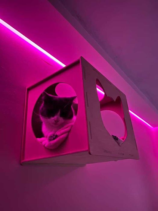 Wiszący domek, budka dla kota na ścianę