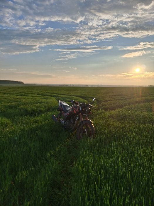 мотоцикл мустанг 200