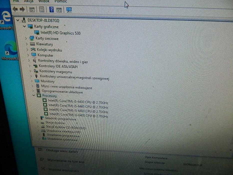 Komputer Terra Core i5-6400 4GB DDR4 500GB
