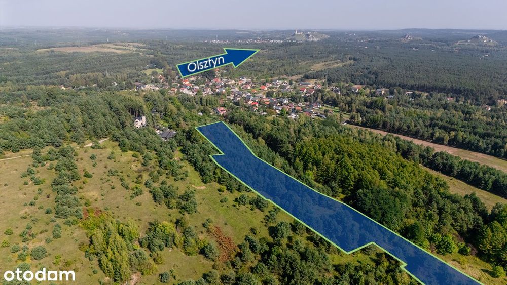 Działka 5,7 ha na Jurze | Część budowlana 3700m² +las| Wszystkie media
