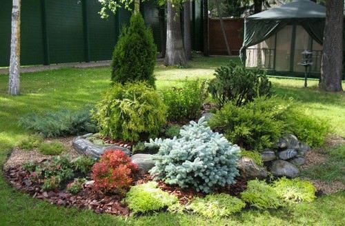 Вейгела спірея азалія декоративні рослини з власного розсадника