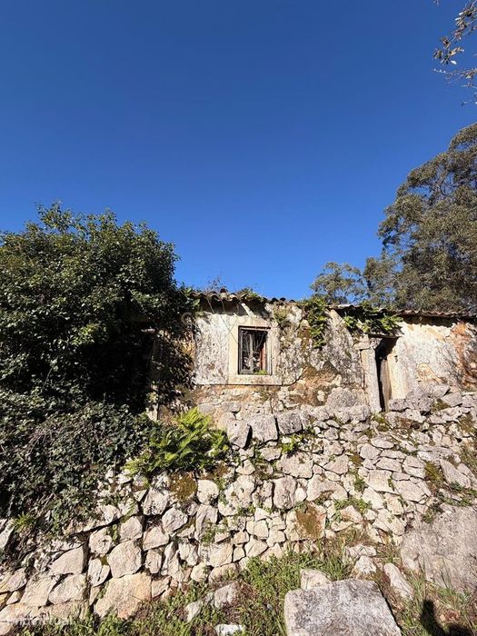 Terreno com Ruína e Projeto Aprovado no Coração da Serra – Alvados