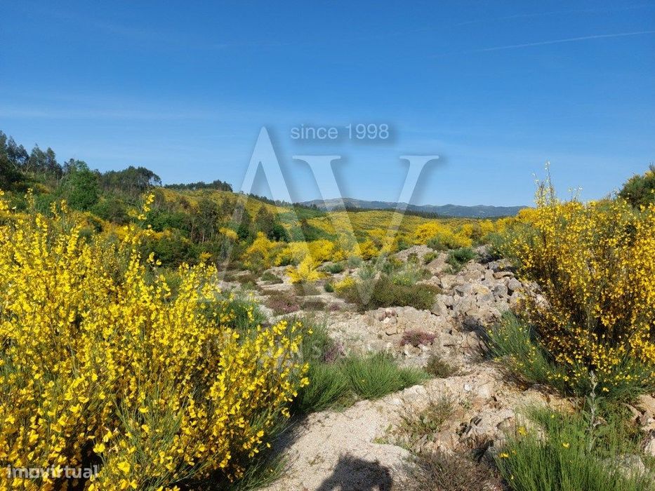 Terreno para construção - CAMPIA - VOUZELA | LEILÃO ELETRÓNICO | FI...