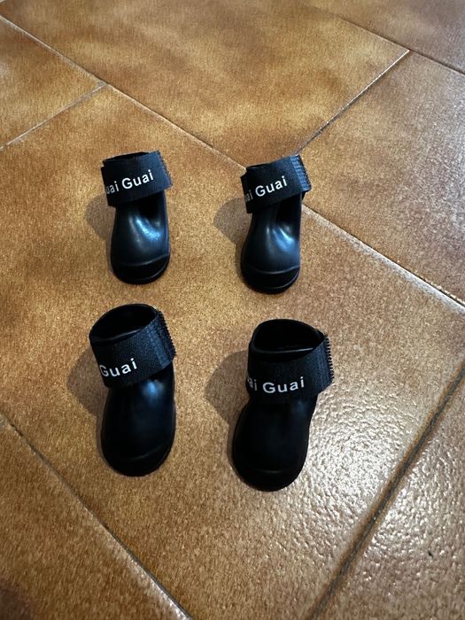 Sapatos para cães