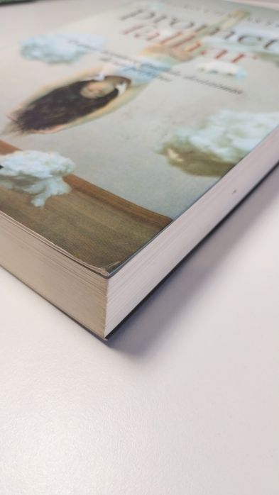Livro Prometo Falhar