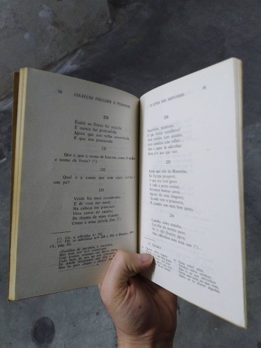 O Livro das Adivinhas