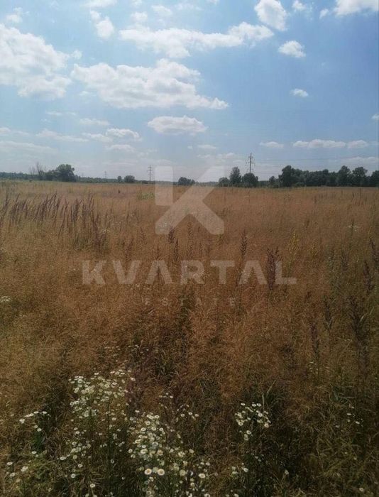 Продаж земельної ділянки ОСГ - 2,5 га в с. Мироцьке