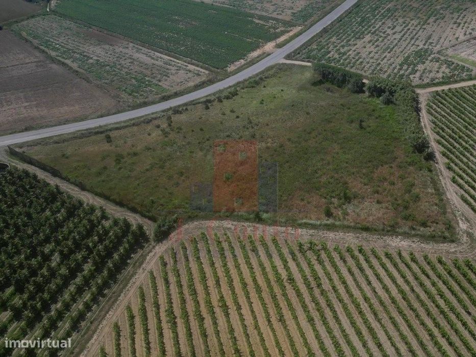 Terreno Rústico para Agricultura — Reguengo Grande, Lisboa