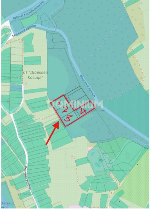 Продаж 64 соток землі у м. Виноградів, масив Чорна гора
