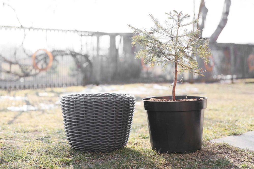 Кашпо з ротангу 12 л