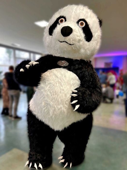 Atrakcja na imprezę Maskotka Ogromny Miś Panda Animator
