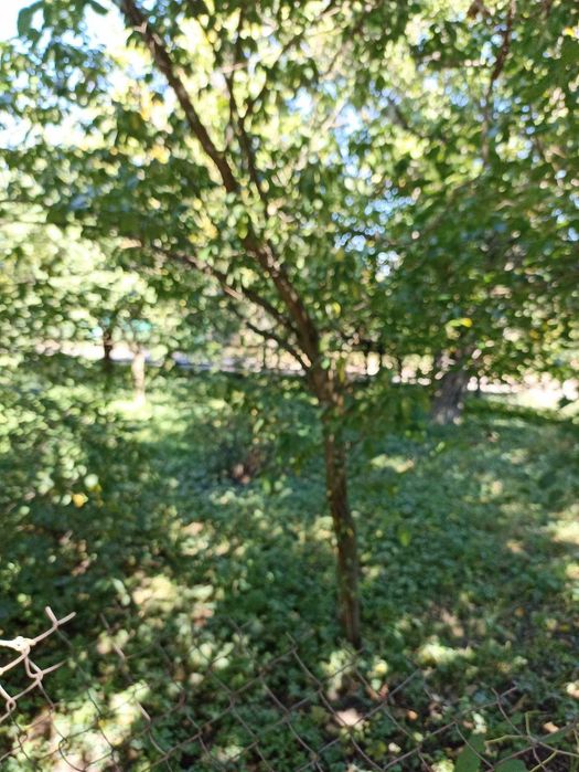 Будинок в с.Степанки