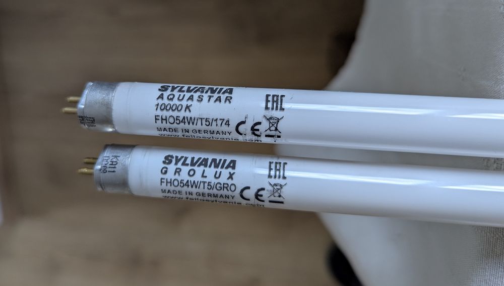 Świetlówki do akwarium roślinnego