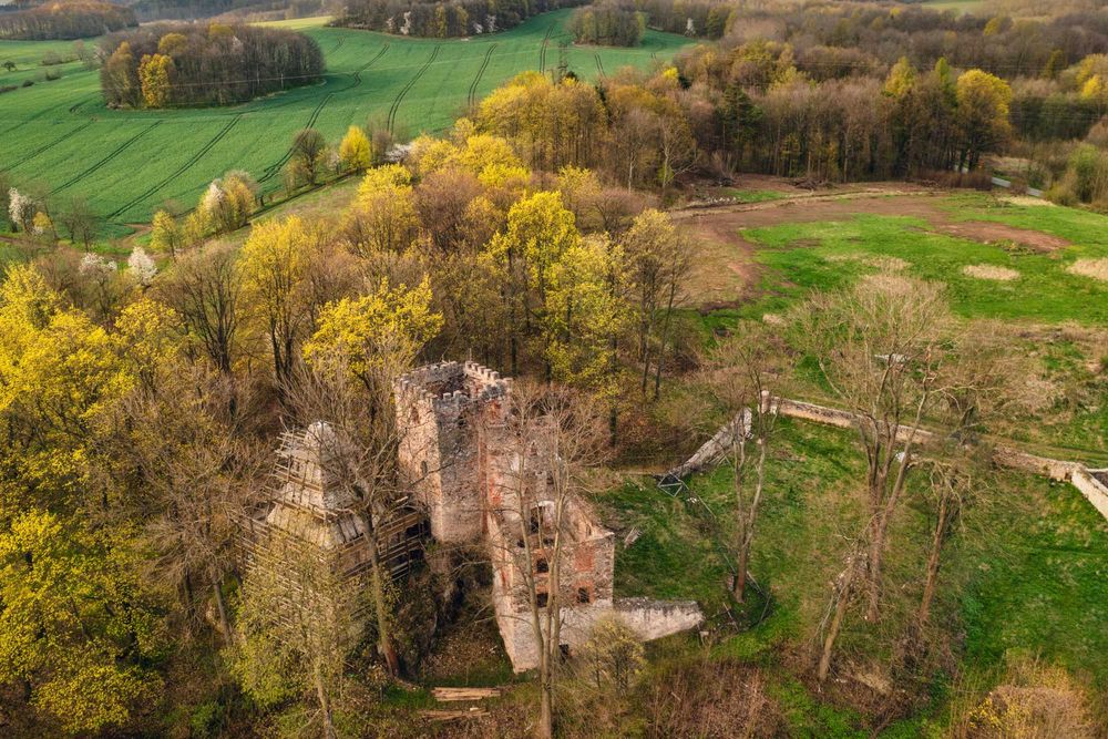 Działka 7500 m² (Pod Zamkiem Lipa!)