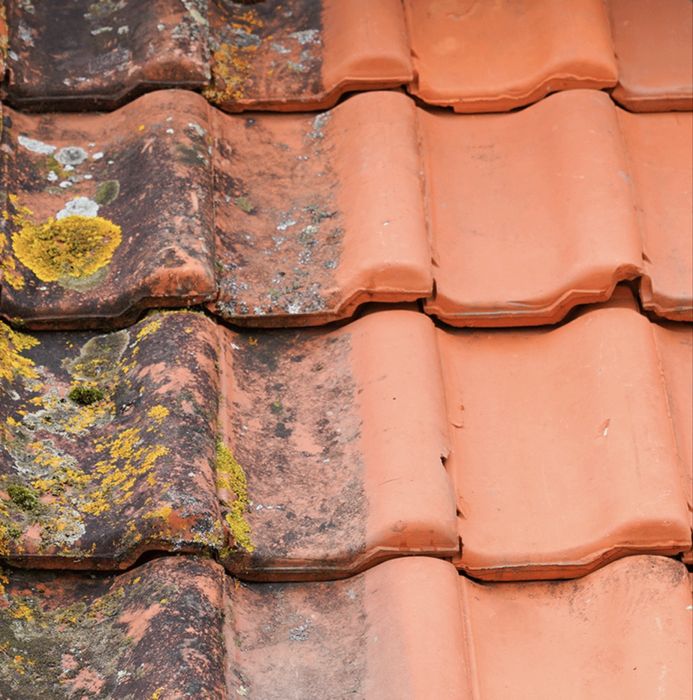 Limpeza de muros telhados e fachadas