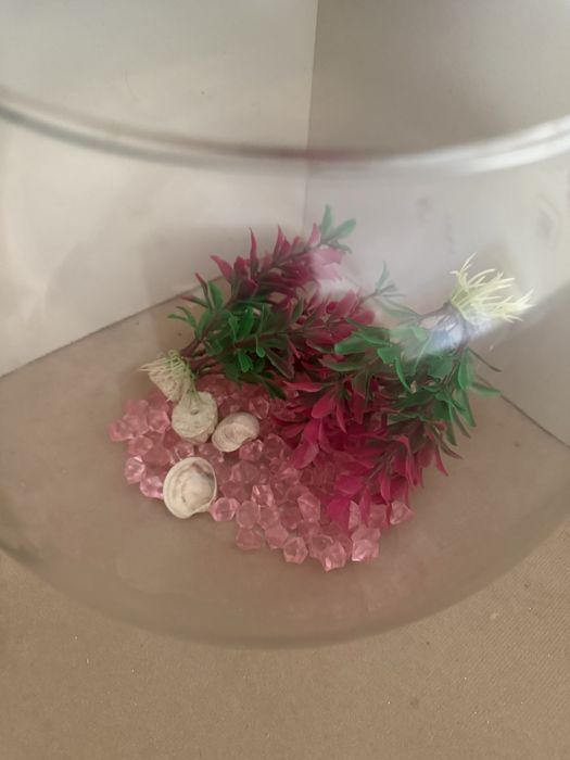Aquário com decorações