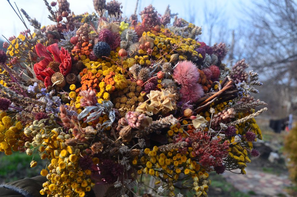 Букет з сухоцвітів. Дикороси. Сноп. Польові трави