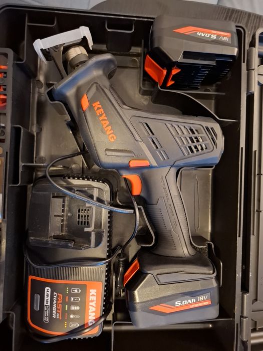 Piła szablasta lisica