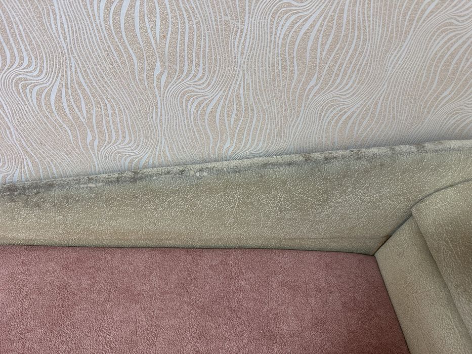 Дитячий розкладний диван