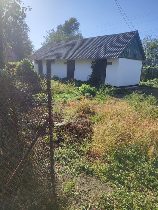 Продам будинок в селі Паришків Броварського району (Баришівський)