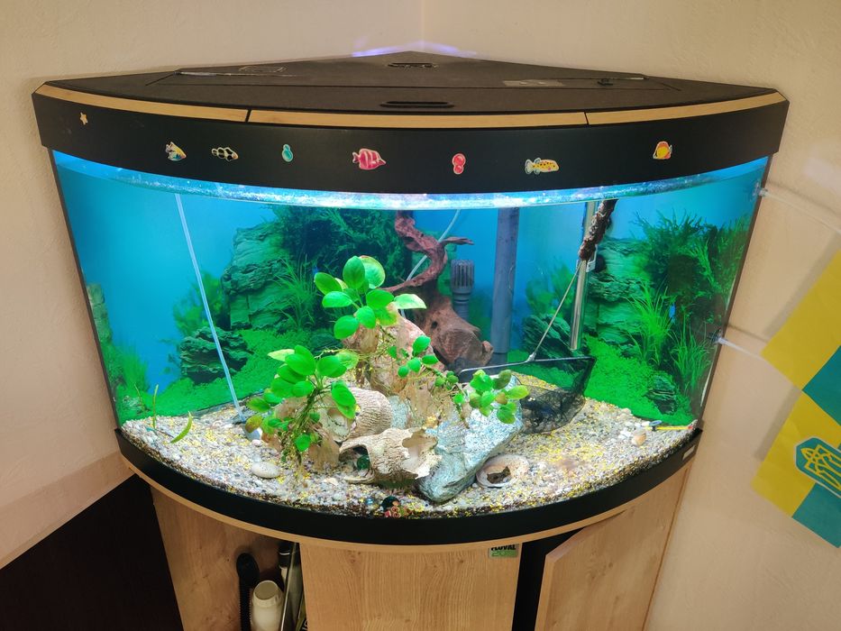 Акваріум кутовий  Juwel (Джувел) TRIGON 190 LED (тільки комплект)