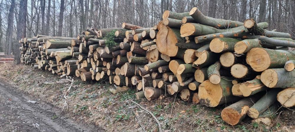 drewno opałowe, kłody - buk, jesion, drewno kominkowe