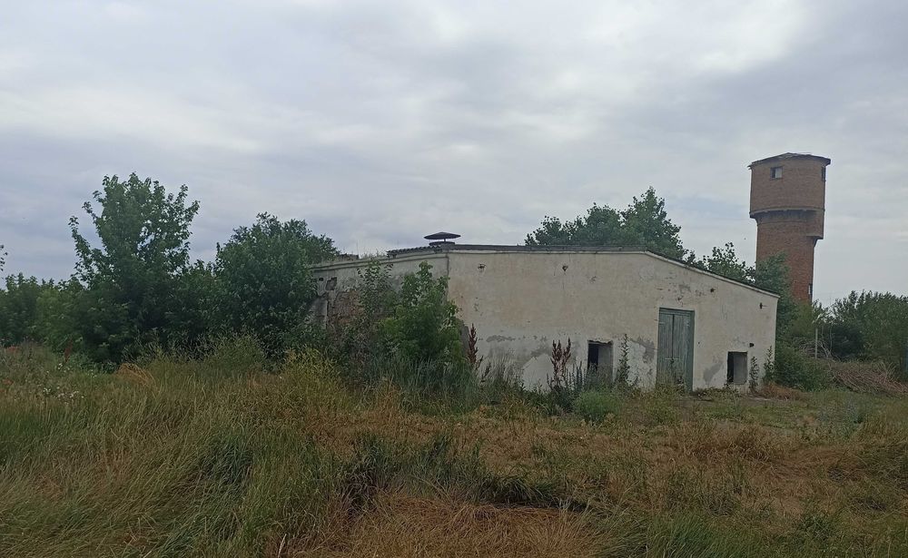 Ищем партнёра для бизнеса в агросфере