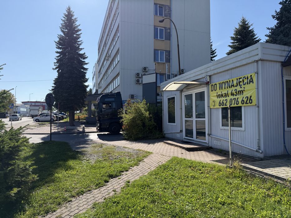 Zdjęcie 6