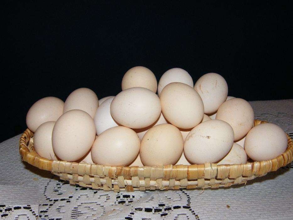 Jaja, jajka wiejskie od szczęśliwych kur.