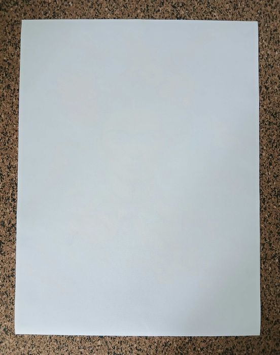 Poster de Arte Frida Kahlo (lona, 30 x 40 cm)