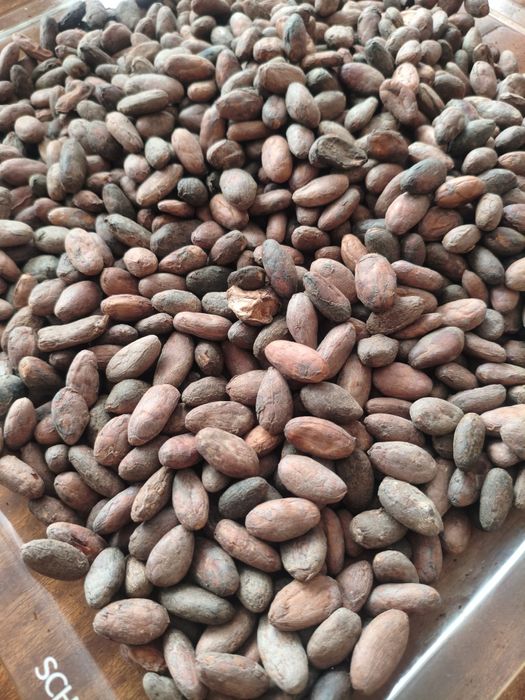 Kakao ceremonialne organiczne 88g