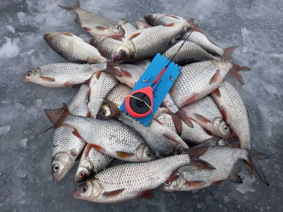 Микало (гірлянда) зимова снасть