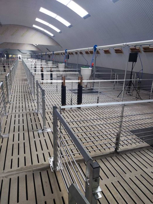 Ruszta betonowe dla bydła i  trzody