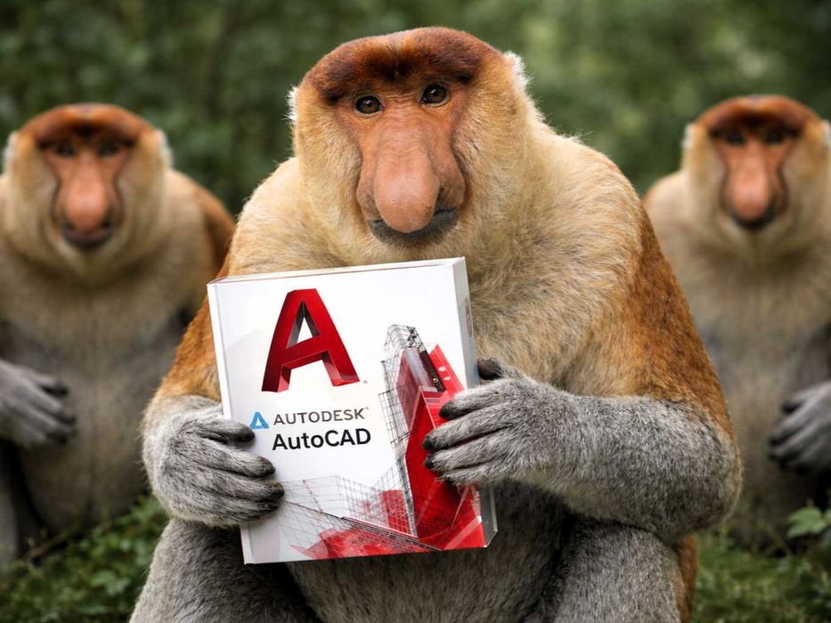 AutoCAD 2026 Polska wersja + poradnik i faktura VAT na 3 lata