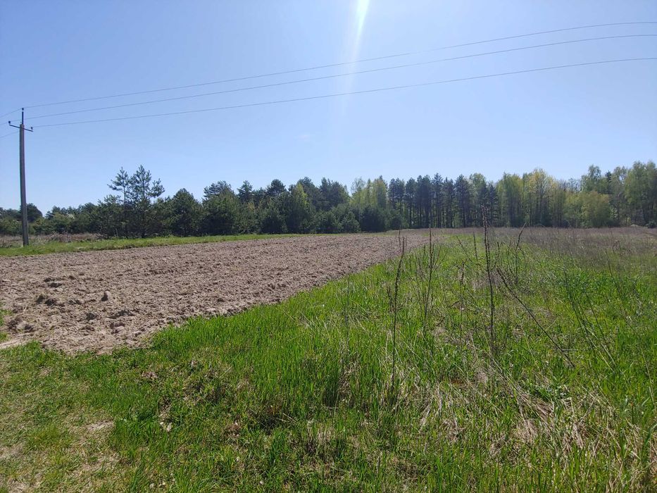 ДІЛЯНКА від ОЛЕКСАНДРА! Три Копці,під будівництво 64 сот.